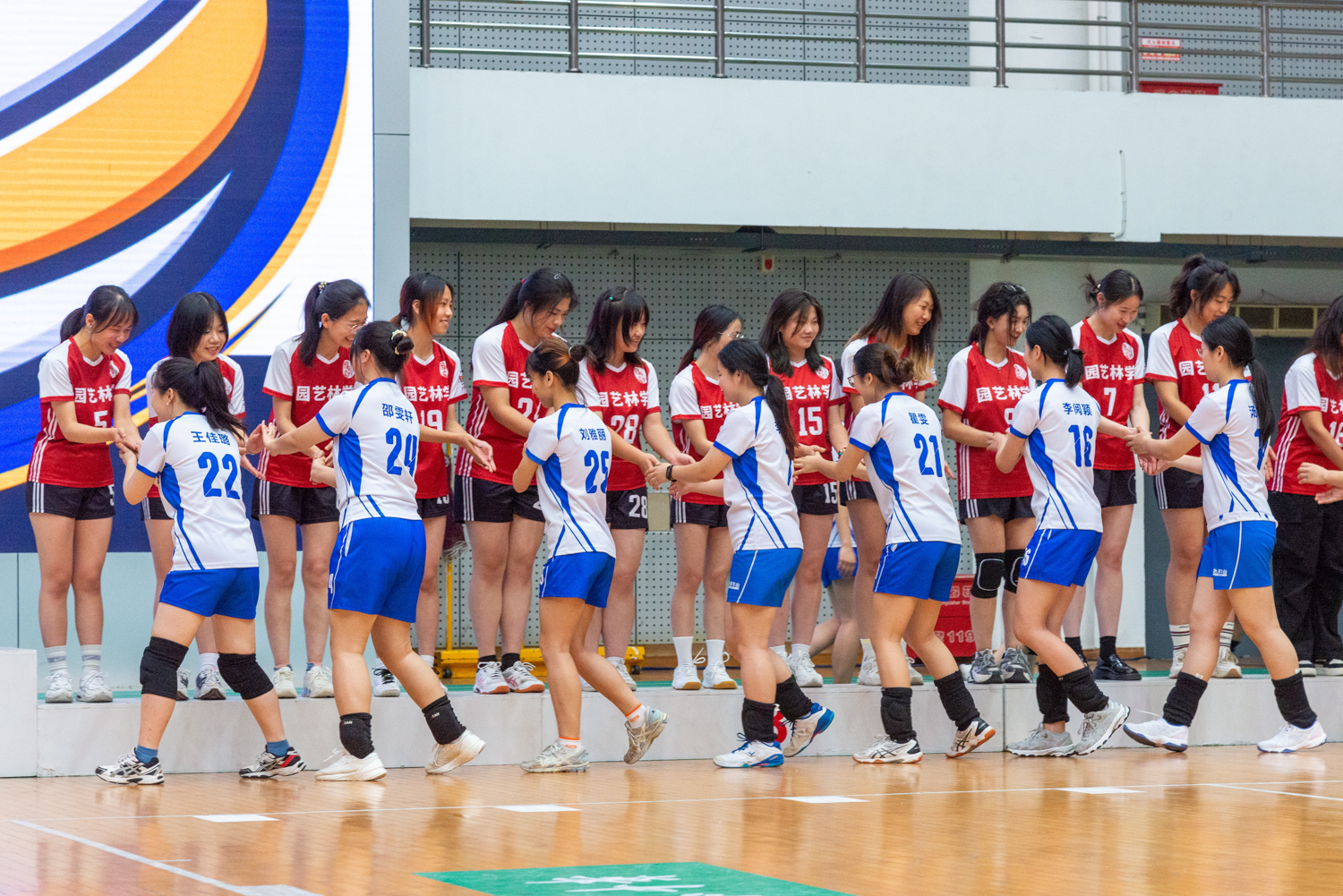 颁奖仪式永利集团304am官方入口女子排球队与园艺林学学院女子排球队握手致意(学通社记者 魏雨城 摄)